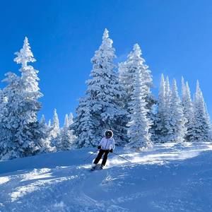 Meet your Posher, Angela